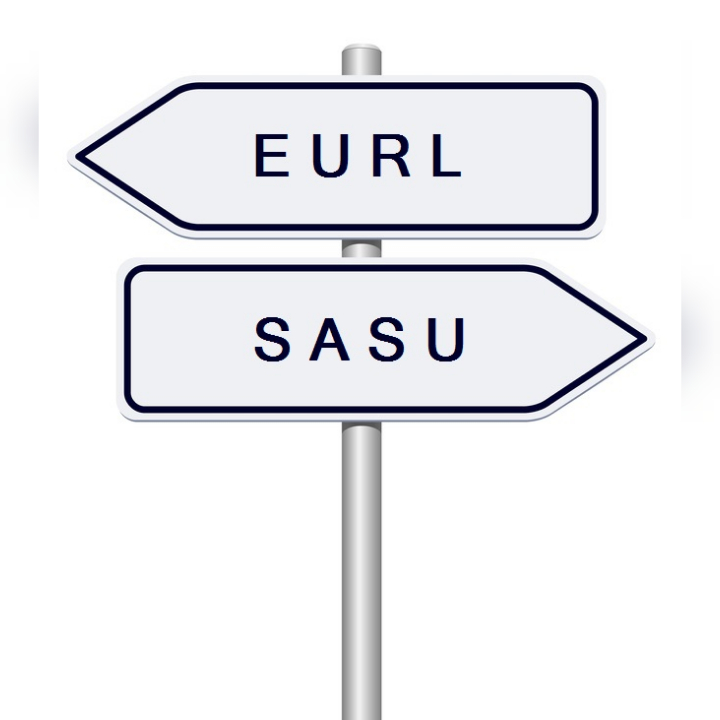 différence-sasu-eurl-cleaconsulting